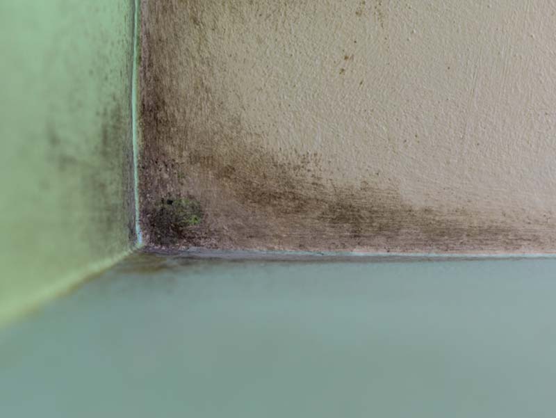 leaky synthetic stucco in AZ